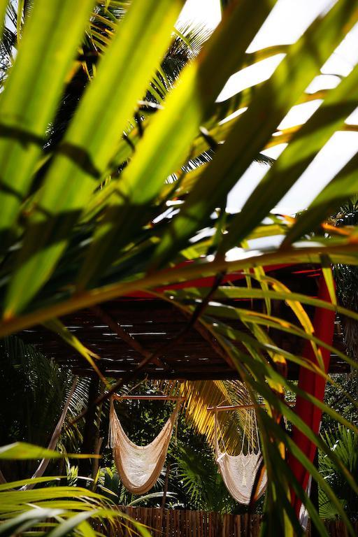 Casa Selva De Luz Διαμέρισμα Τουλούμ Εξωτερικό φωτογραφία